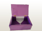 Pet Memory Box (Purple) 2